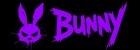 Bunny Partners