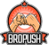 BroPush